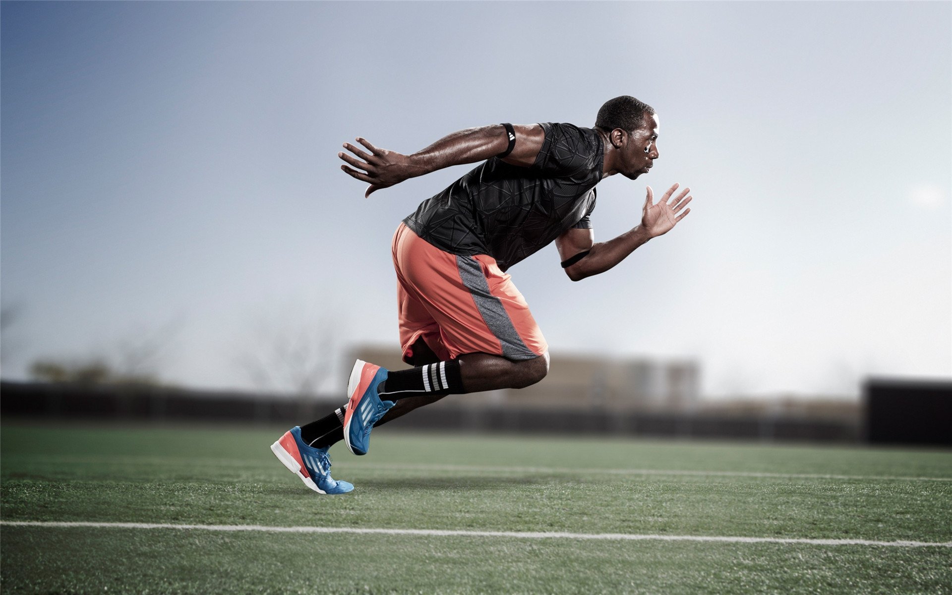 福克斯撕裂尼克斯防线,国王客场奏凯